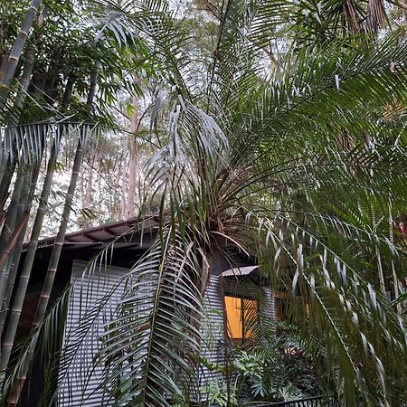 Alaya Escape Bed & Breakfast Eudlo Ngoại thất bức ảnh