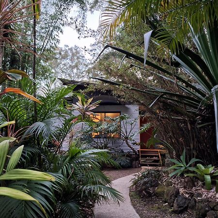 Alaya Escape Bed & Breakfast Eudlo Ngoại thất bức ảnh
