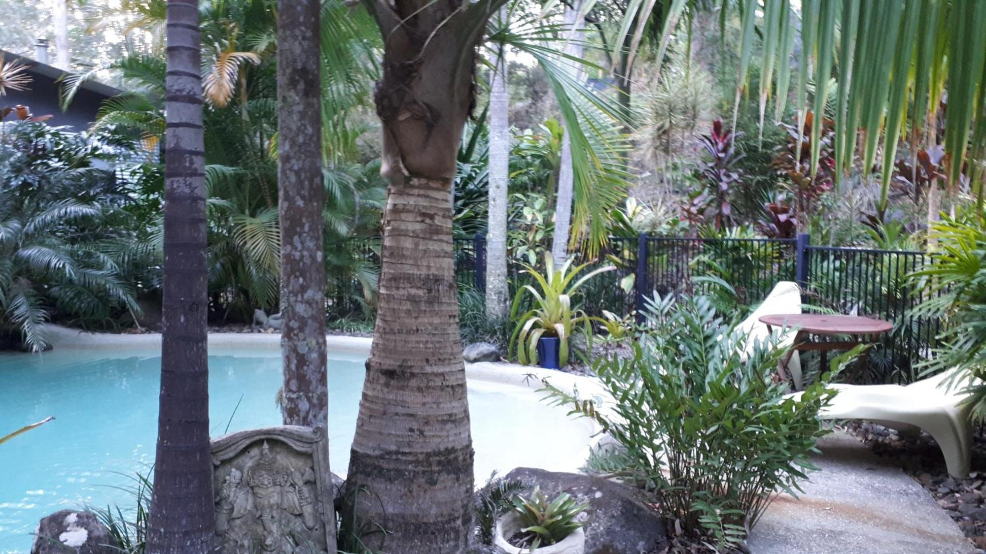 Alaya Escape Bed & Breakfast Eudlo Ngoại thất bức ảnh