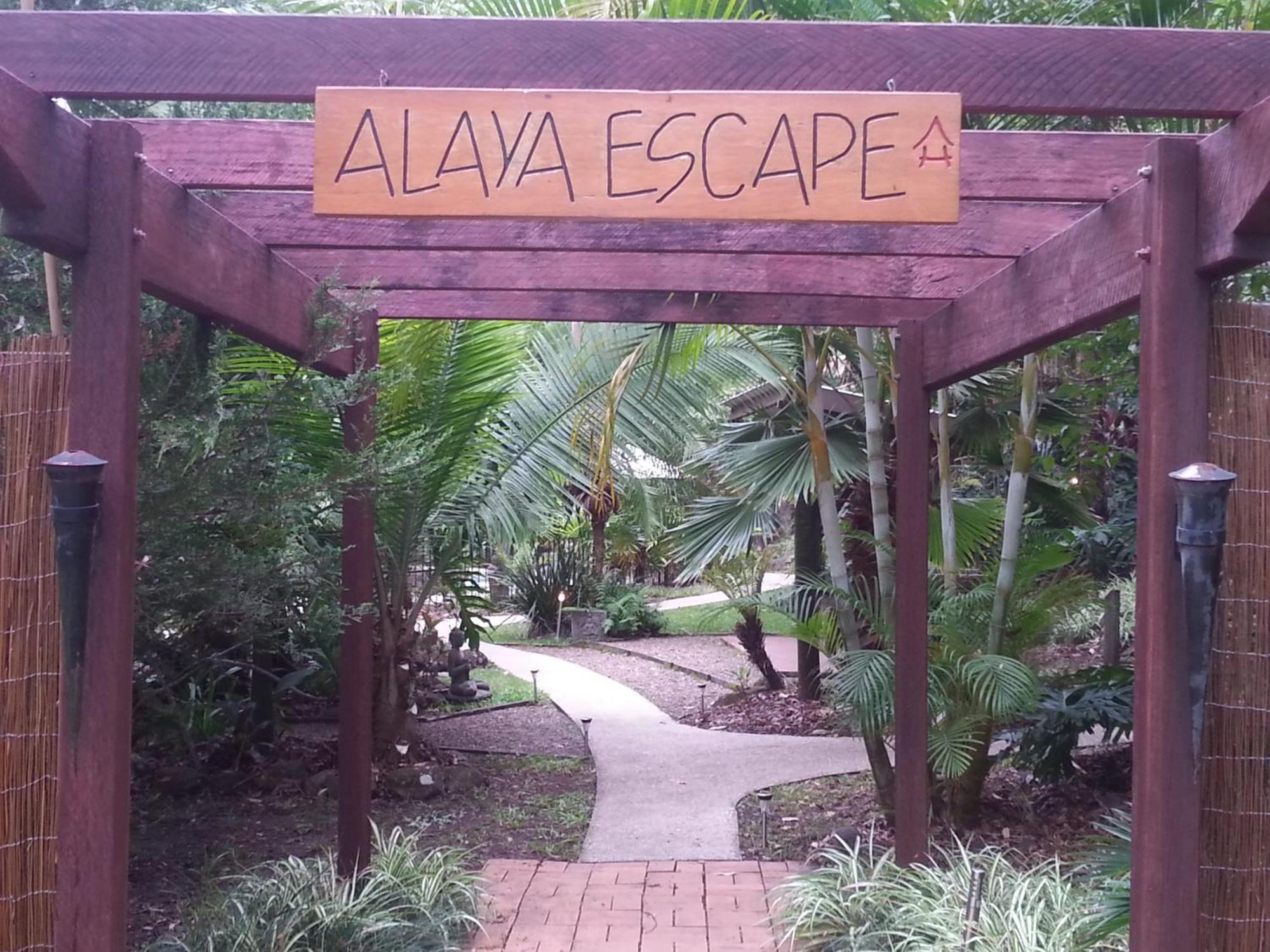 Alaya Escape Bed & Breakfast Eudlo Ngoại thất bức ảnh