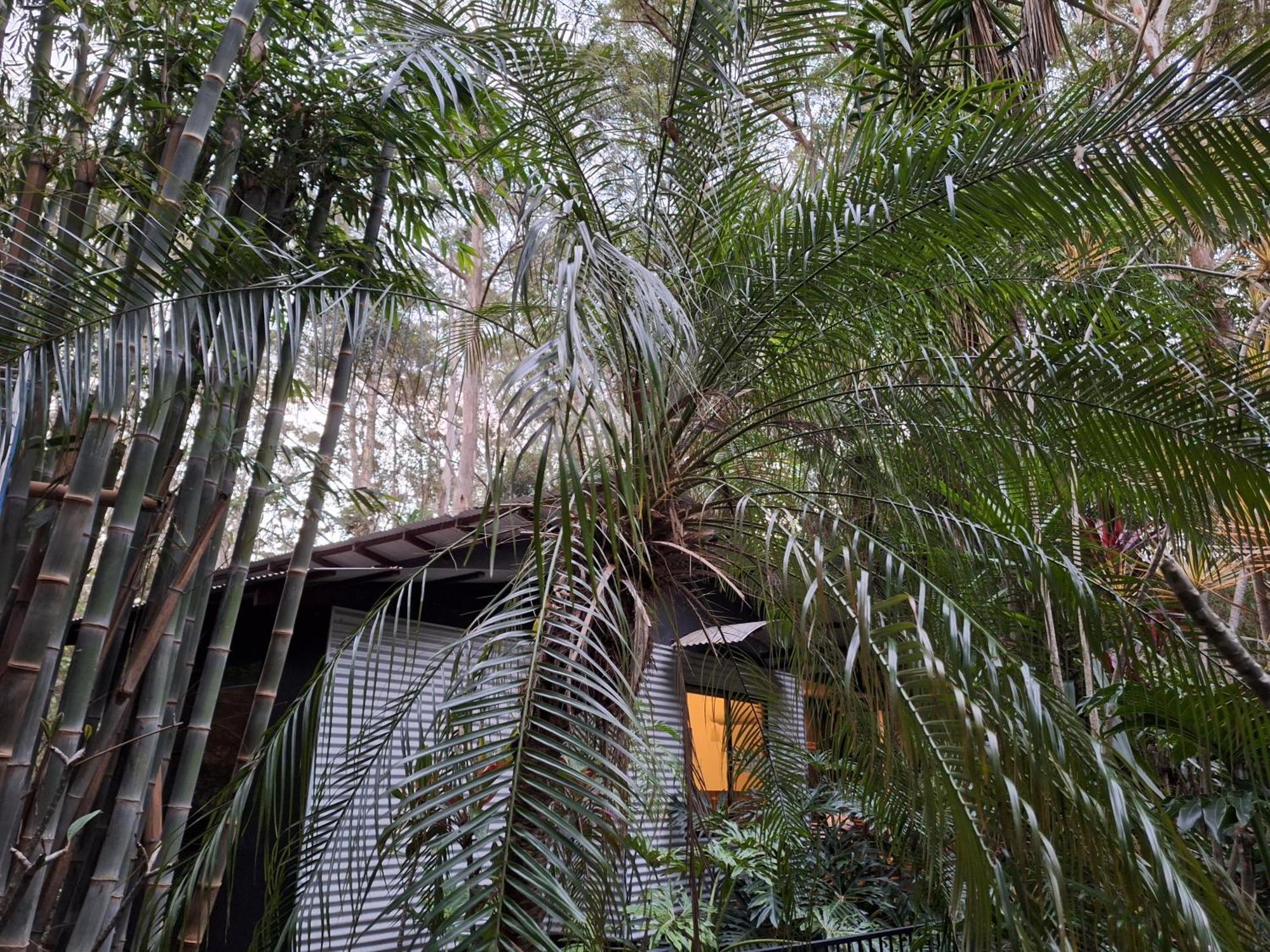 Alaya Escape Bed & Breakfast Eudlo Ngoại thất bức ảnh