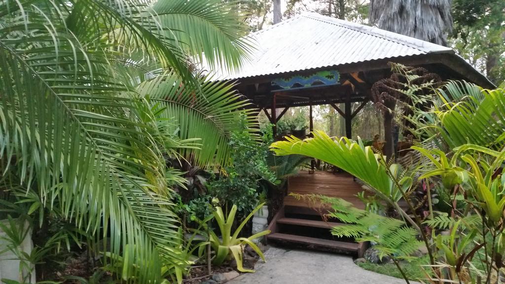 Alaya Escape Bed & Breakfast Eudlo Ngoại thất bức ảnh