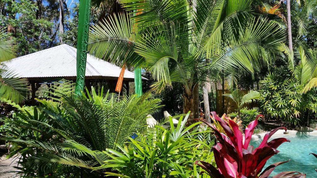 Alaya Escape Bed & Breakfast Eudlo Ngoại thất bức ảnh