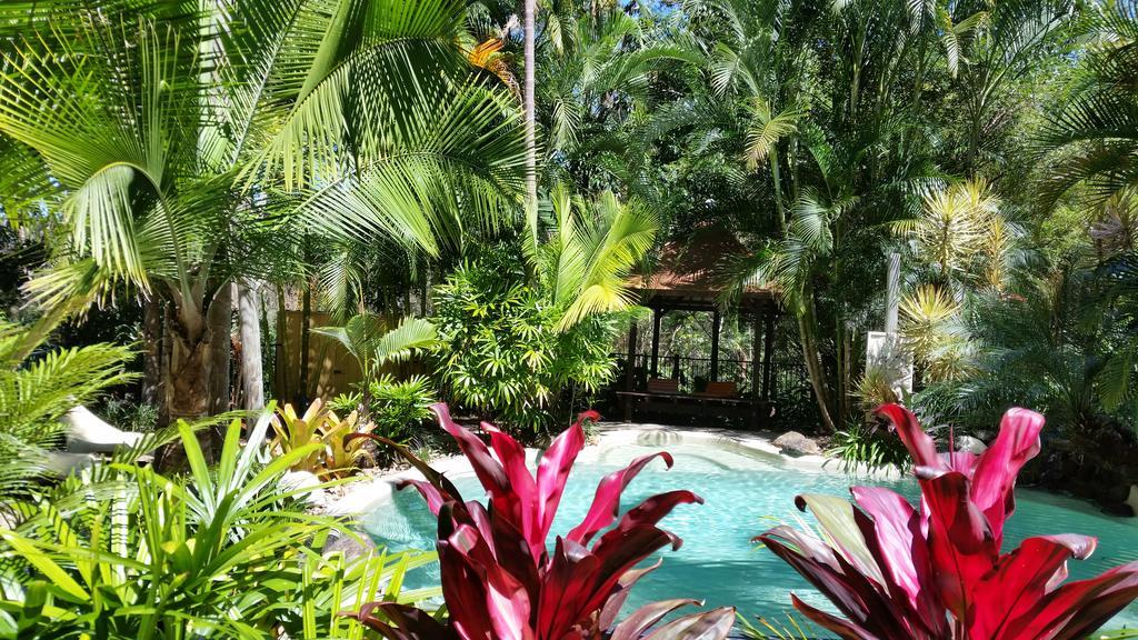 Alaya Escape Bed & Breakfast Eudlo Ngoại thất bức ảnh