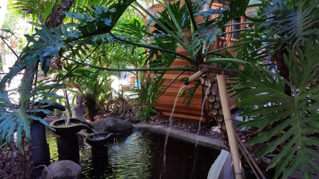 Alaya Escape Bed & Breakfast Eudlo Ngoại thất bức ảnh